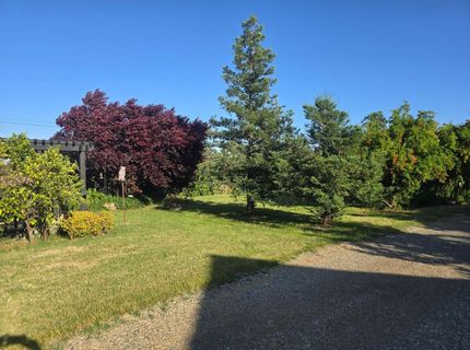 5206 E Jahant Rd, Acampo, CA 95632 Photo