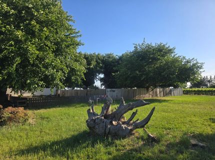 5206 E Jahant Rd, Acampo, CA 95632 Photo