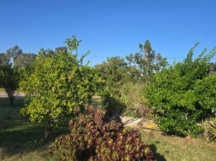 5206 E Jahant Rd, Acampo, CA 95632 Photo