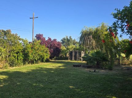 5206 E Jahant Rd, Acampo, CA 95632 Photo