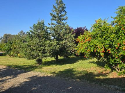 5206 E Jahant Rd, Acampo, CA 95632 Photo