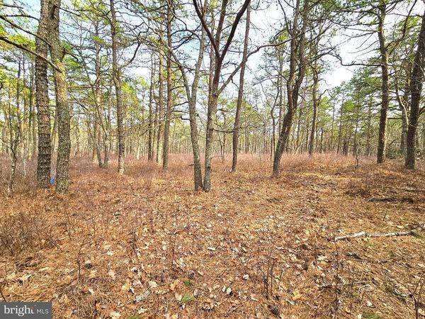 17 PINEWOOD DRIVE , LITTLE EGG HARBOR TWP, NJ 08087