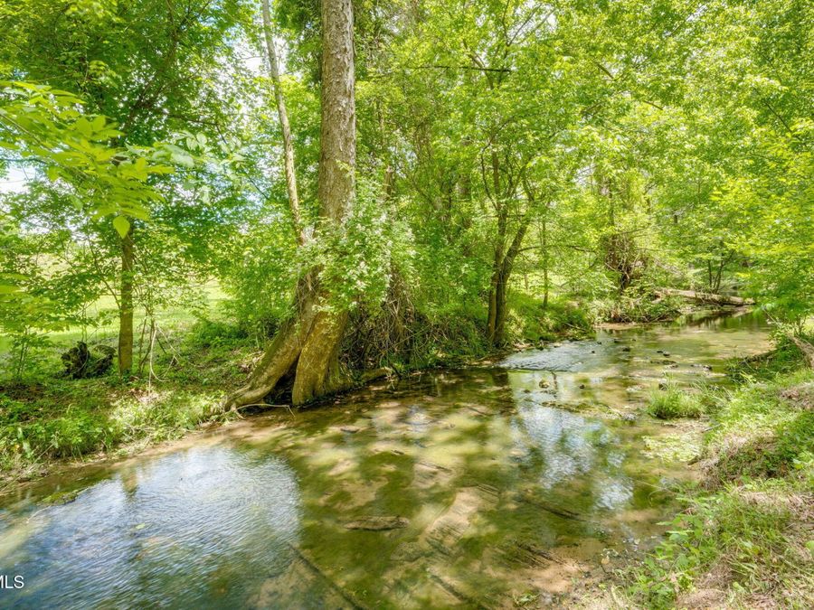 Property Image 59