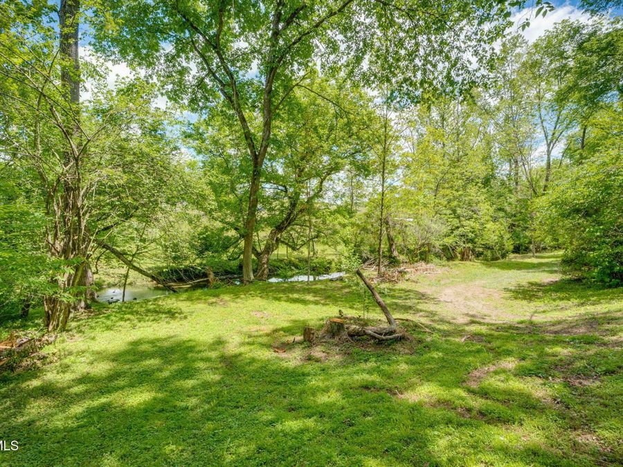 Property Image 60