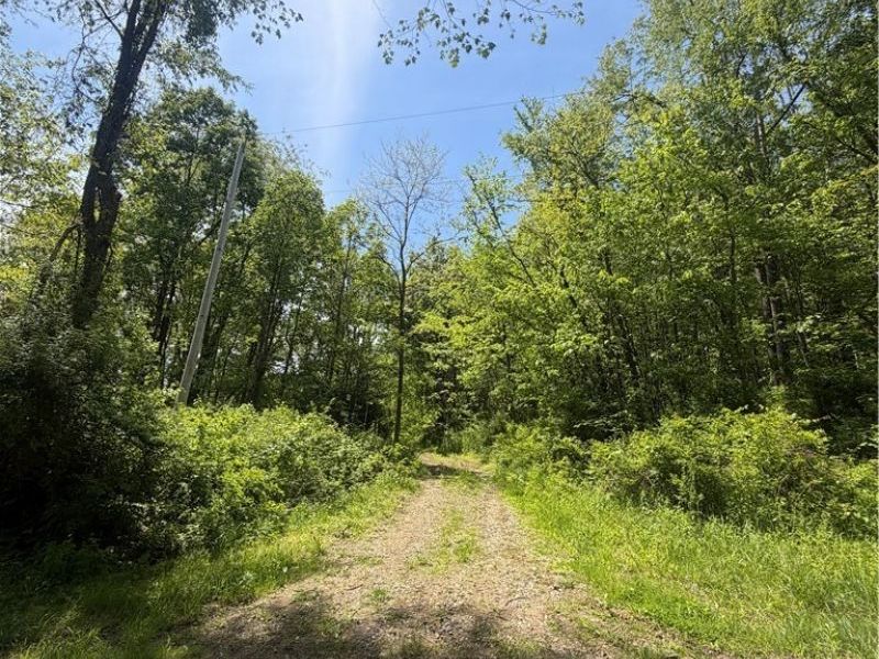 SE ROBINHOOD RD , Dennison, OH 44621 Photo 1