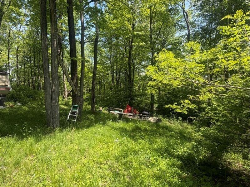 SE ROBINHOOD RD , Dennison, OH 44621 Photo 3