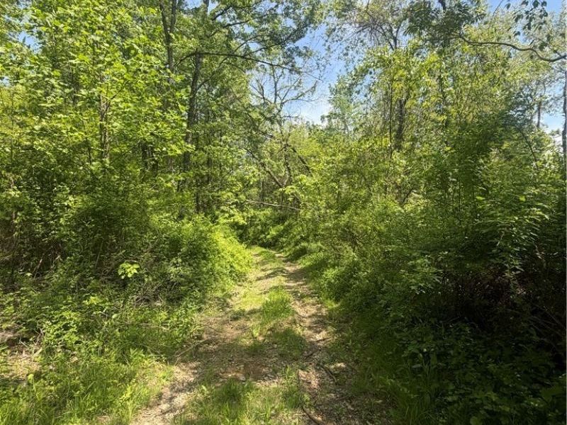 SE ROBINHOOD RD , Dennison, OH 44621 Photo 4