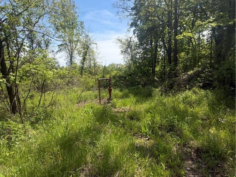 SE ROBINHOOD RD , Dennison, OH 44621 Photo 5