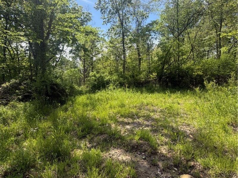 SE ROBINHOOD RD , Dennison, OH 44621 Photo 6