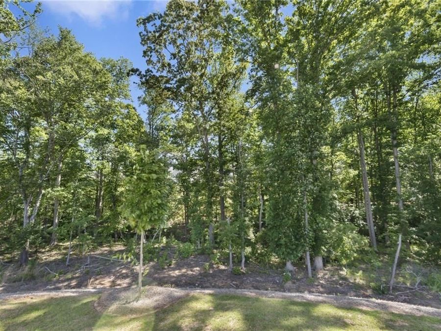 Property Image 68