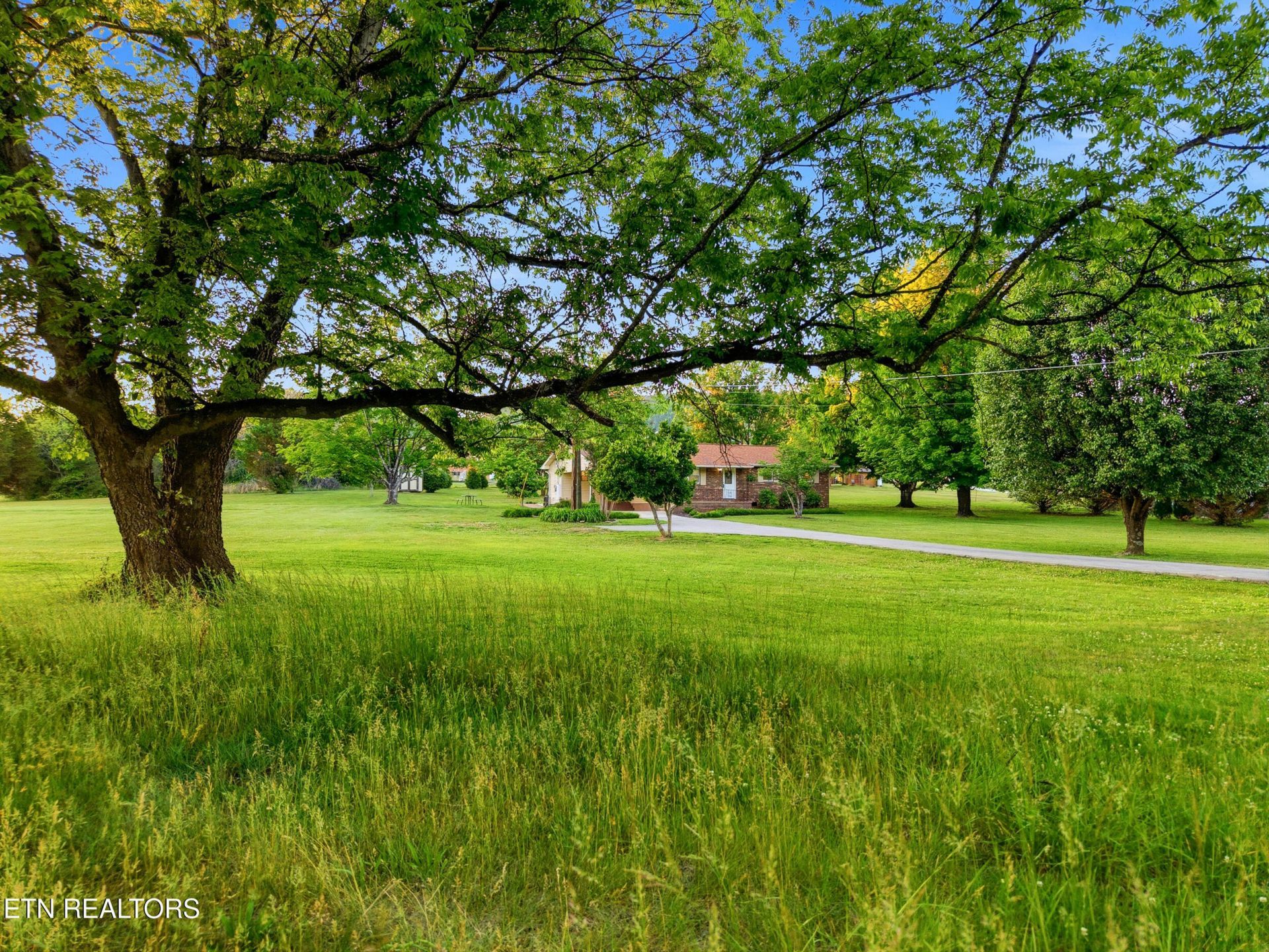 819 Rutledge Pike, Blaine, TN 37709 Main Photo