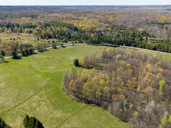 Curtisville Road W, South Branch, MI 48761