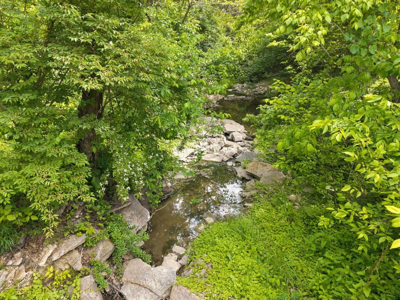 1060 Old 19, Augusta, KY 41002 Photo 46