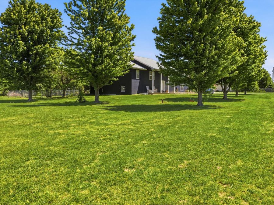 Property Image 85