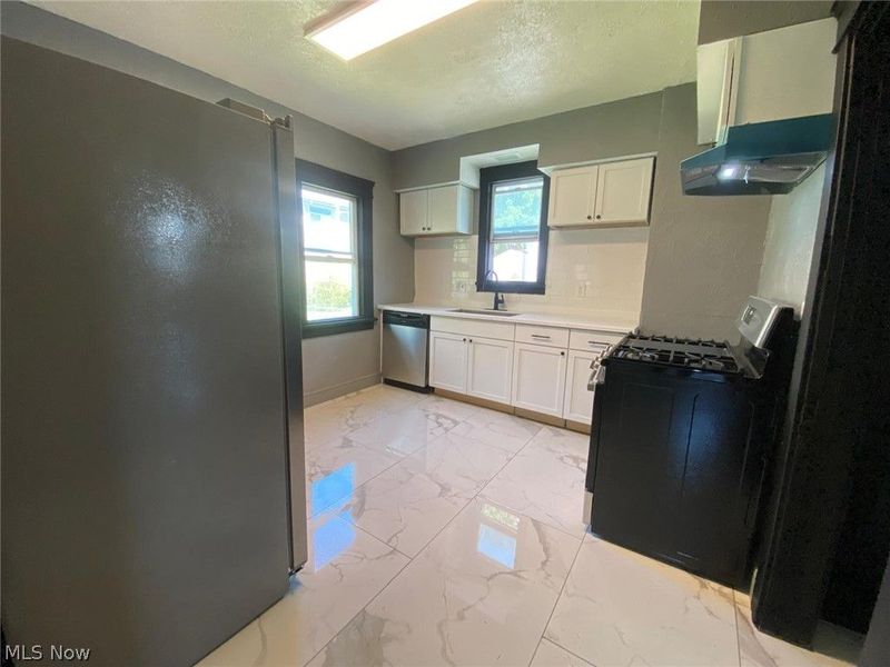 14726 Puritas Avenue, Cleveland, OH 44135 Photo 4