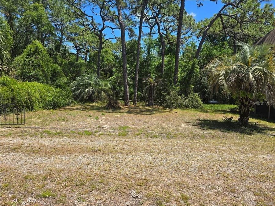 Property Image 45