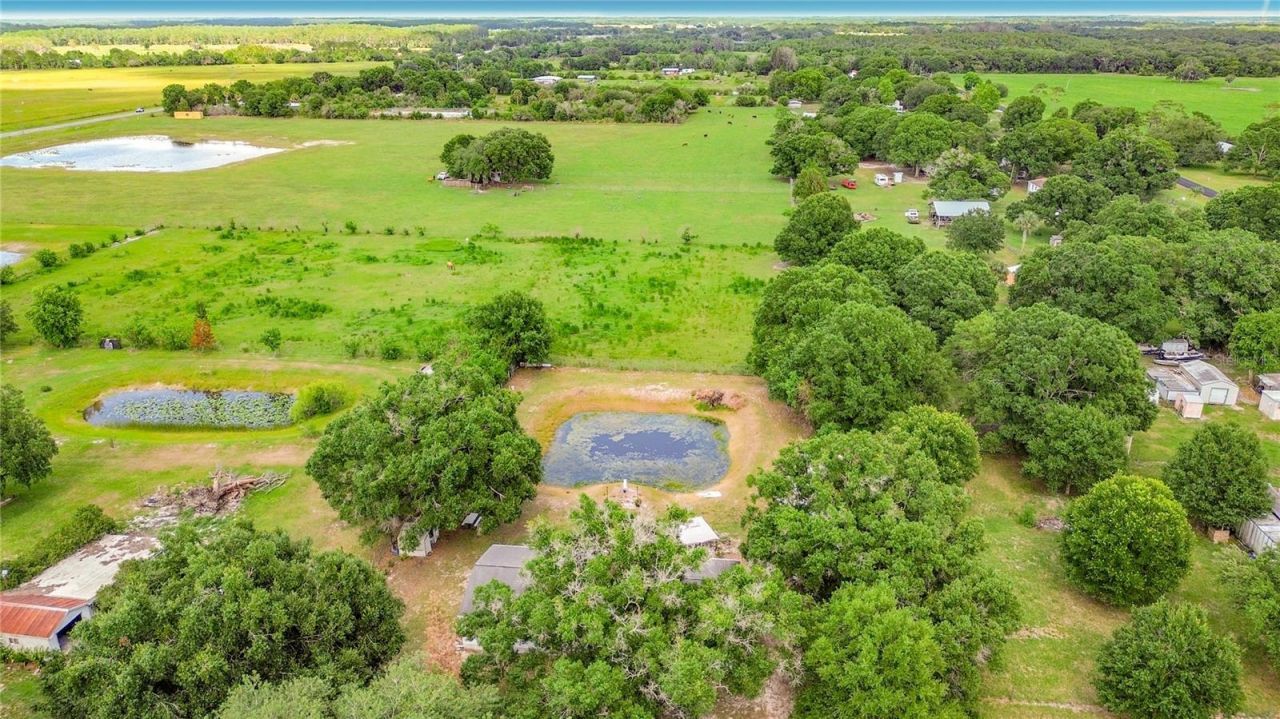 255 Grant Bass Road , Kenansville, FL 34739 Photo
