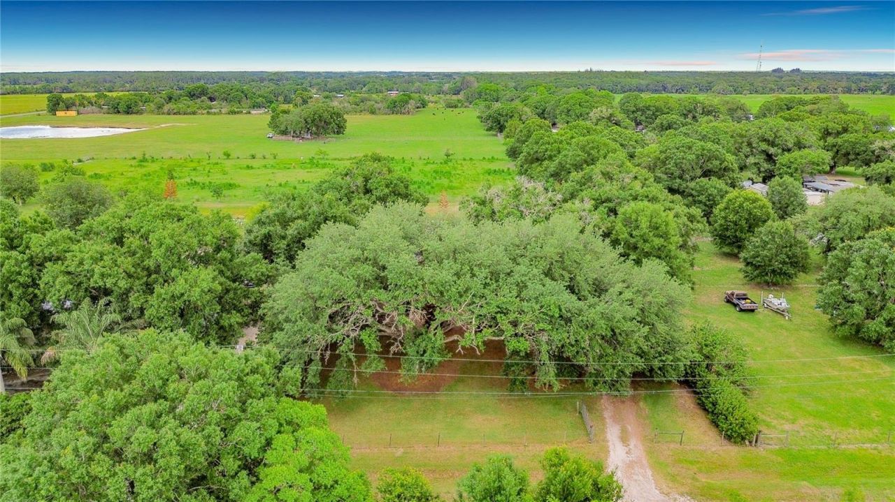 255 Grant Bass Road , Kenansville, FL 34739 Photo