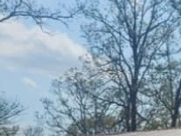 9315 Pinewood Court , Bonne Terre, MO 63628
