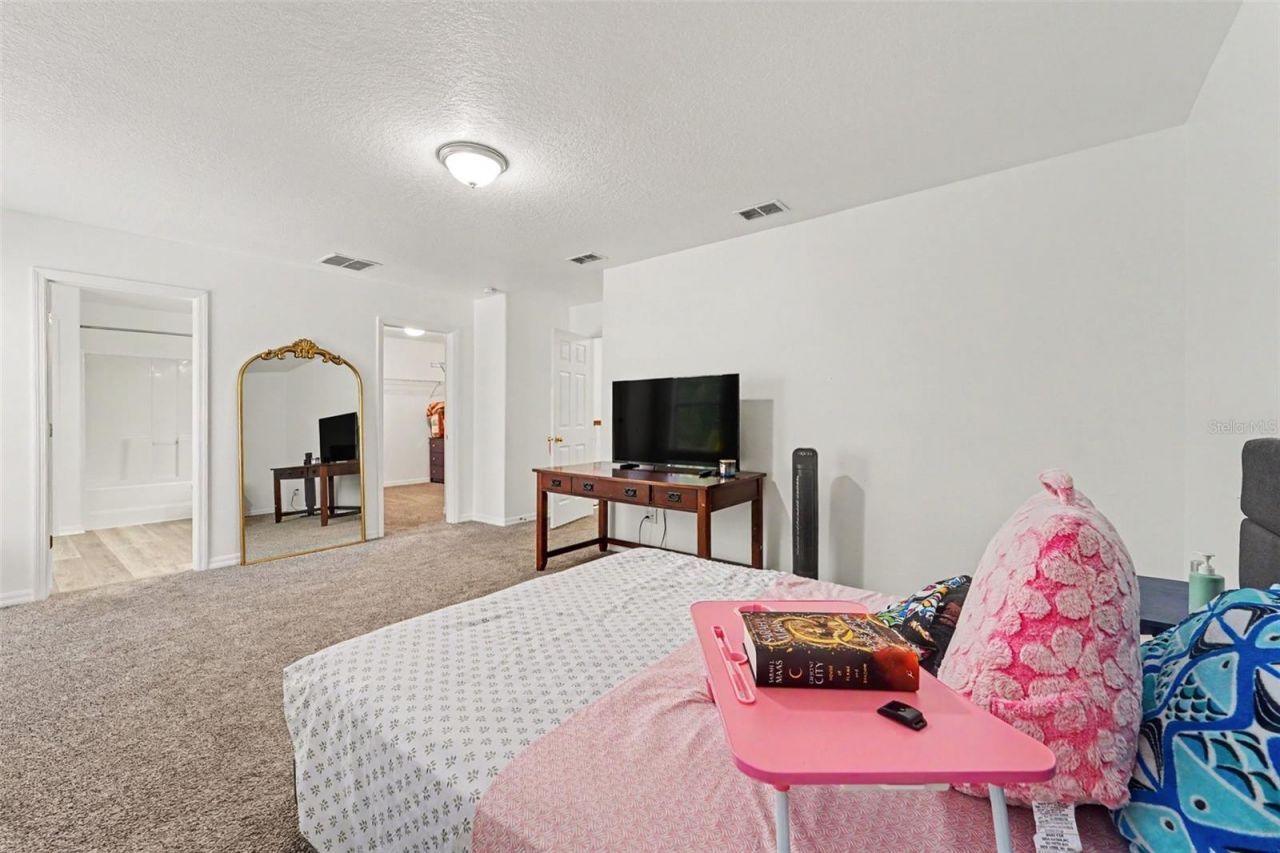 2436 Spring Hollow Loop , Wesley Chapel, FL 33544 Photo