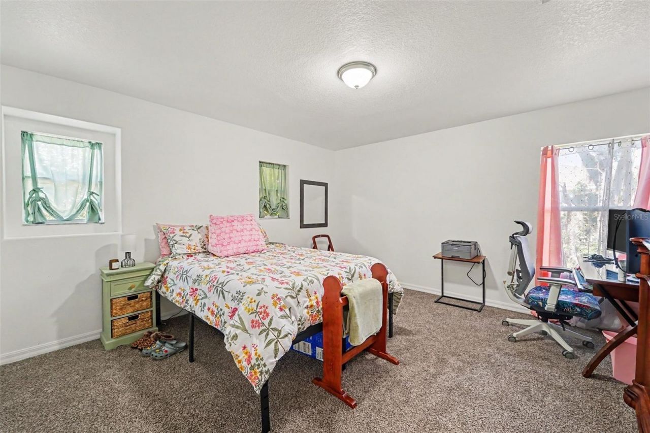 2436 Spring Hollow Loop , Wesley Chapel, FL 33544 Photo