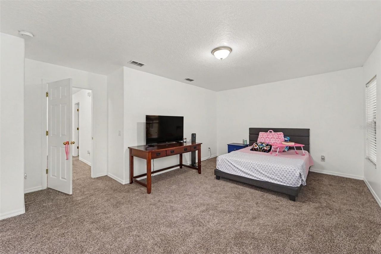 2436 Spring Hollow Loop , Wesley Chapel, FL 33544 Photo