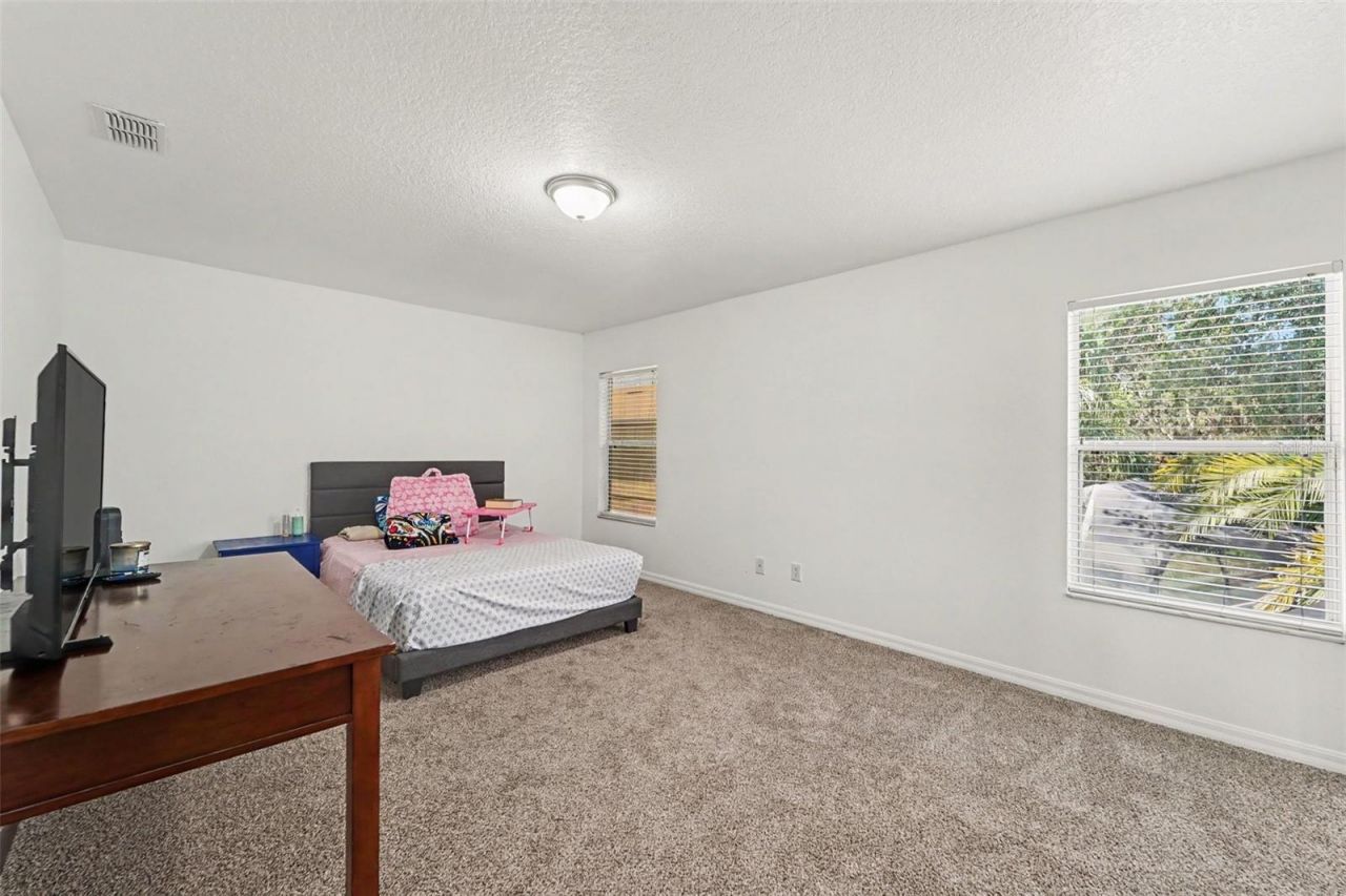 2436 Spring Hollow Loop , Wesley Chapel, FL 33544 Photo