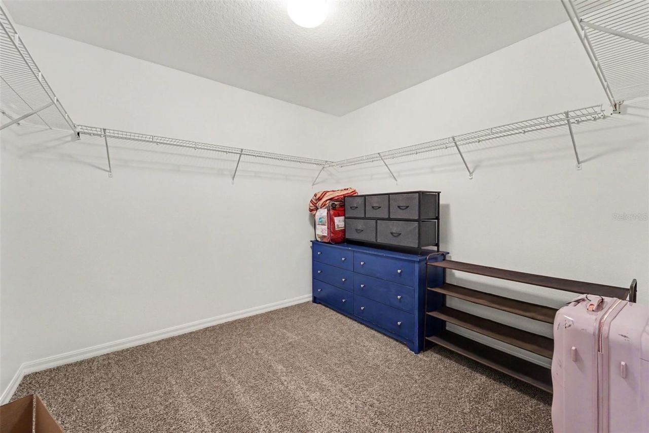 2436 Spring Hollow Loop , Wesley Chapel, FL 33544 Photo