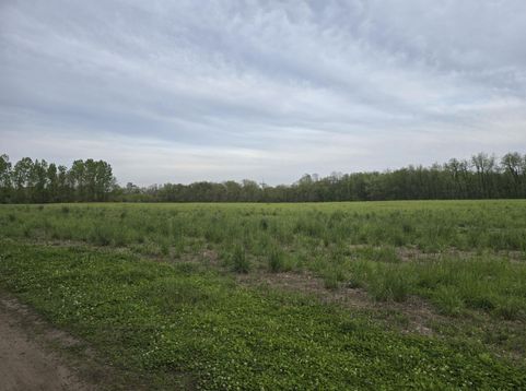 Main Photo