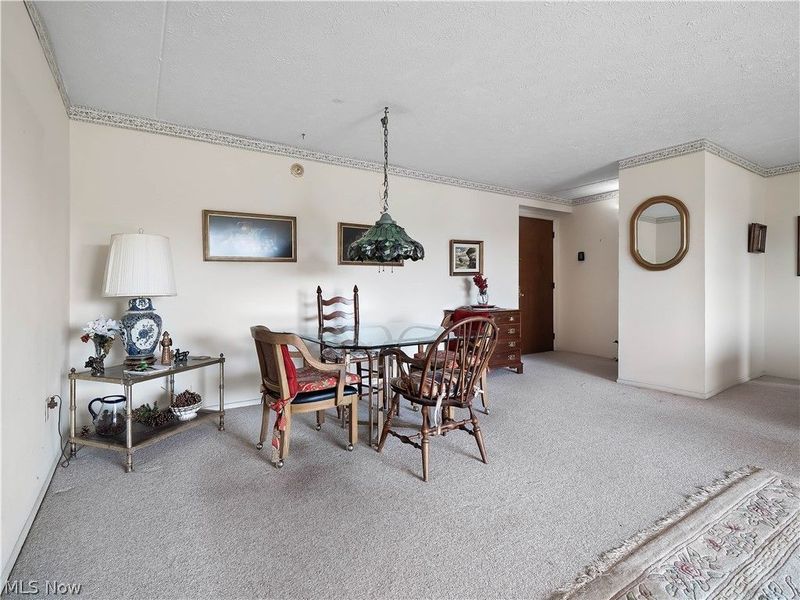 50 S Rocky River Drive , Unit 705, Berea, OH 44017 Photo 10