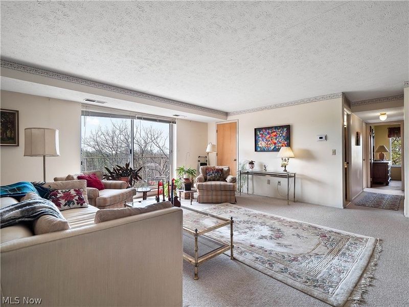 50 S Rocky River Drive , Unit 705, Berea, OH 44017 Photo 7