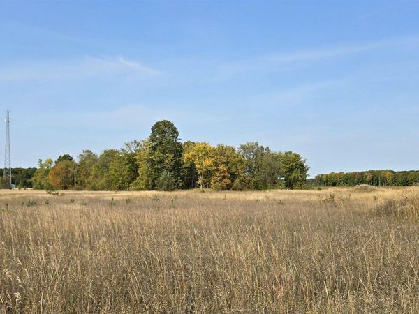 8620 Francis Drive, Elmira, MI 49730