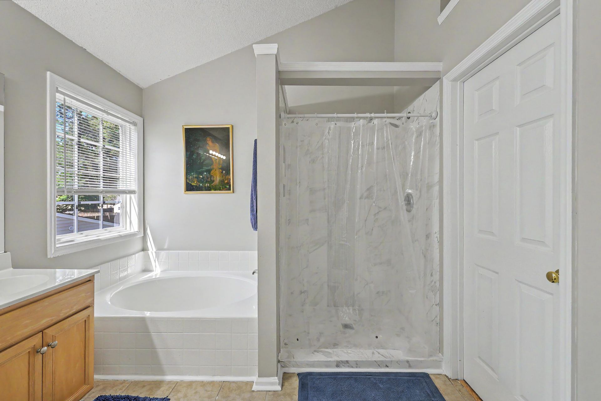 112 Irish Oak Drive Photo 24