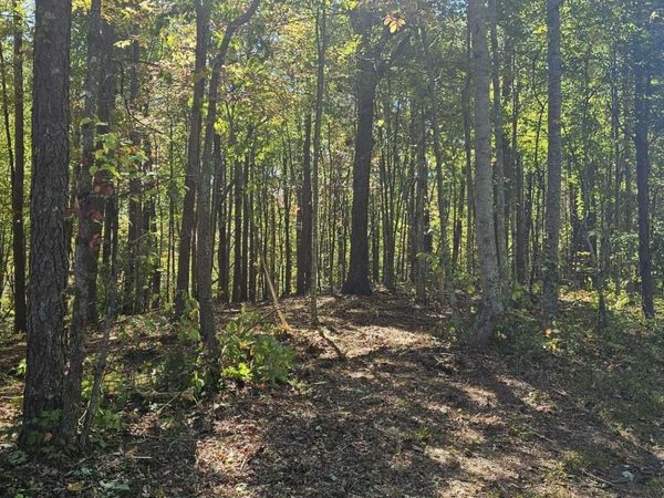 208 Old Furnace Road , Tellico Plains, TN 37385