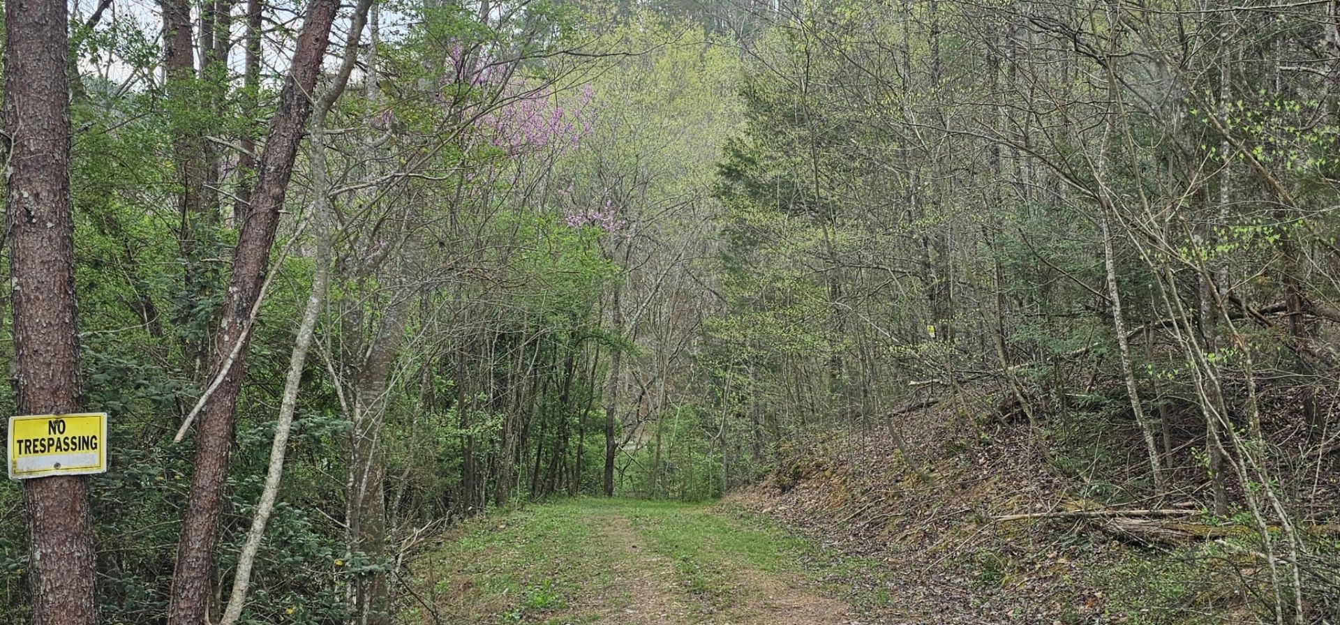 337 Price Road , Reliance, TN 37369 Main Photo