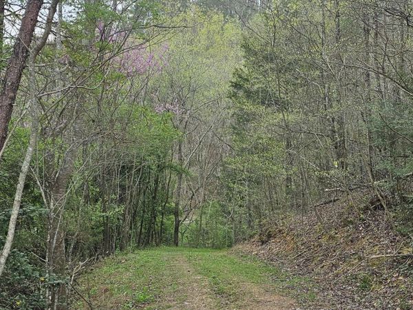 337 Price Road , Reliance, TN 37369
