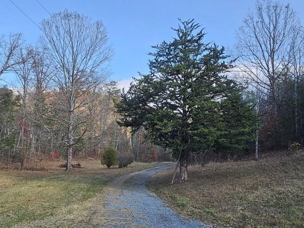 1328 Highway 310 , Englewood, TN 37329