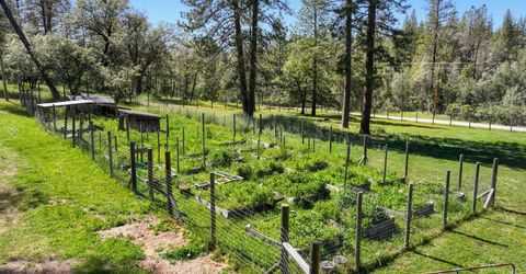 1159 Borrego Dr, Mokelumne Hill, CA 95245 Photo