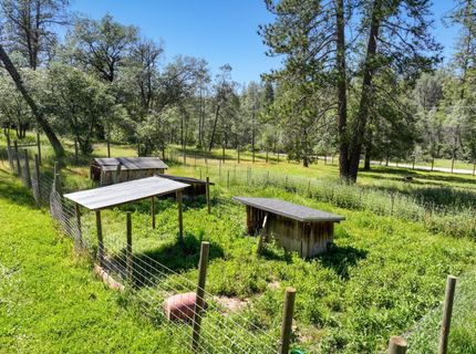 1159 Borrego Dr, Mokelumne Hill, CA 95245 Photo