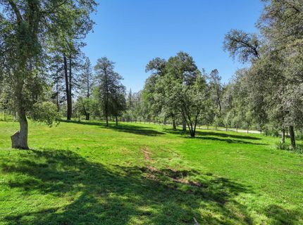 1159 Borrego Dr, Mokelumne Hill, CA 95245 Photo