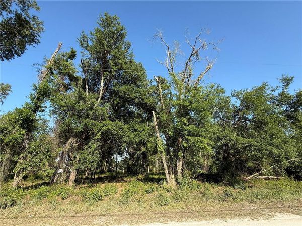 null OWENS DRIVE , ZEPHYRHILLS, FL 33540