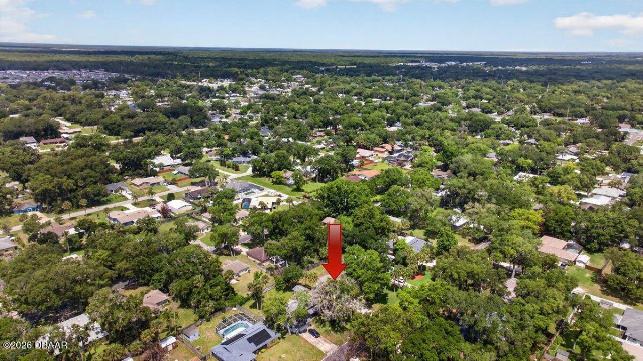2012 Mango Tree Drive, Edgewater, FL 32141 Photo