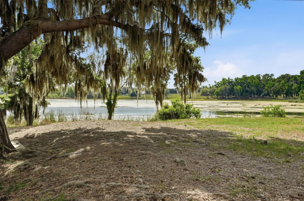 18610 Townsend House Road, Dade City, FL 33523 Photo