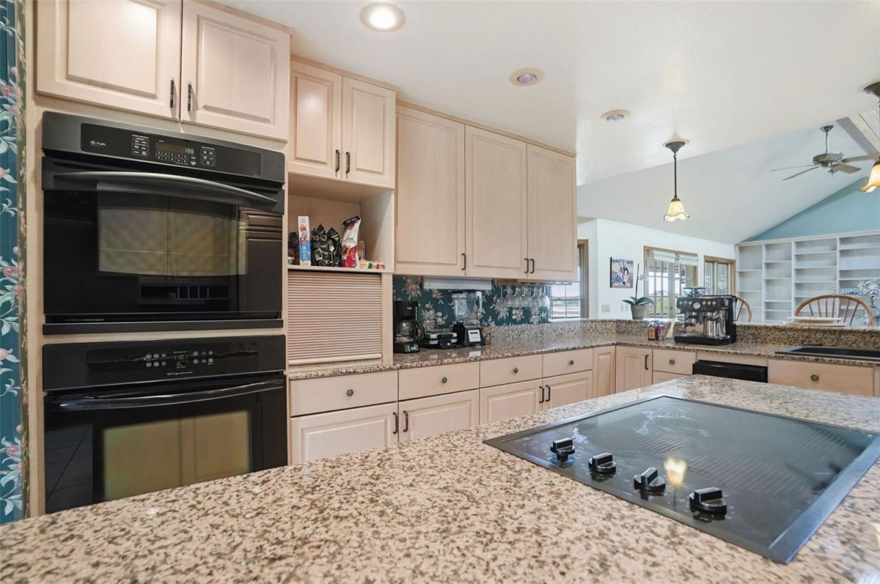 18610 Townsend House Road, Dade City, FL 33523 Photo