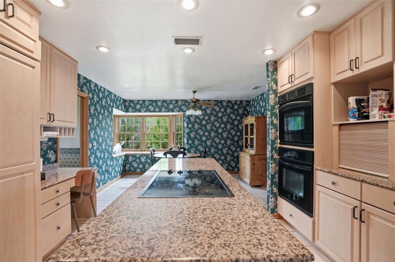 18610 Townsend House Road, Dade City, FL 33523 Photo