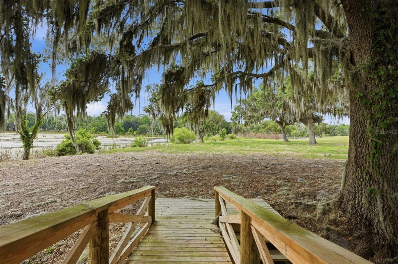 18610 Townsend House Road, Dade City, FL 33523 Photo