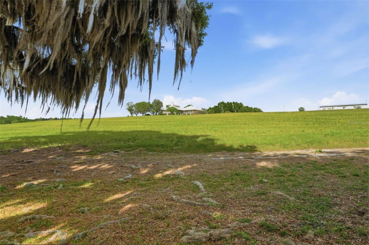 18610 Townsend House Road, Dade City, FL 33523 Photo