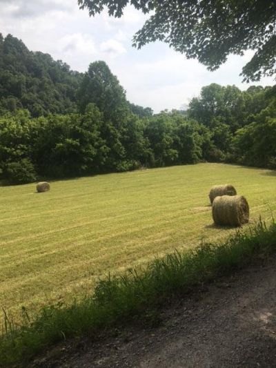 00 Hatfield Road, Tazewell, TN 37879 Main Photo