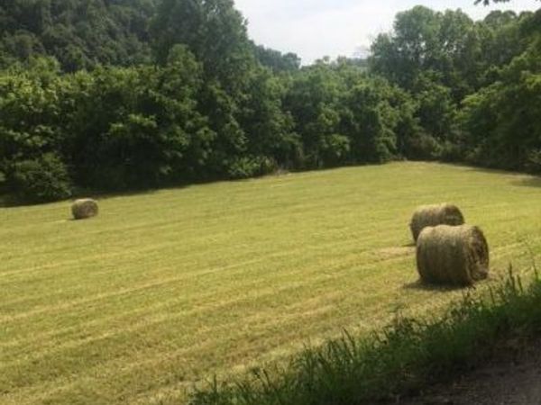 00 Hatfield Road, Tazewell, TN 37879