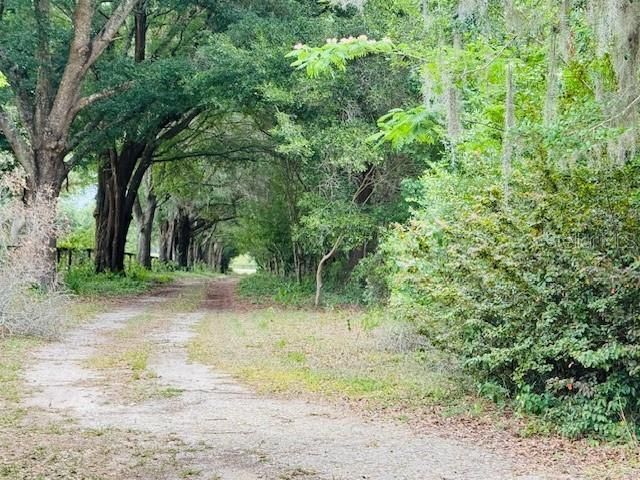12470 SW 16th Avenue , Ocala, FL 34473 Photo